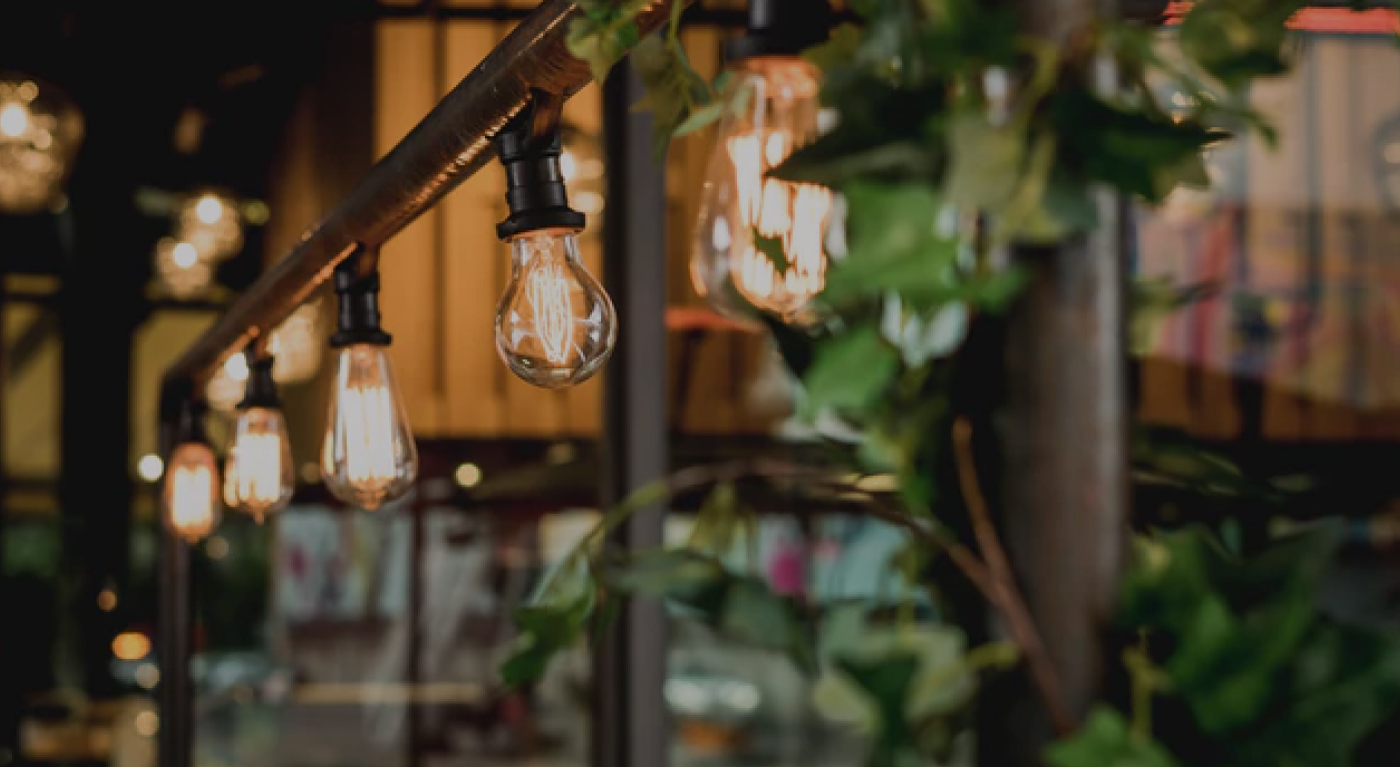A row of vintage Edison light bulbs hangs from a metal pipe, surrounded by green leafy plants, creating a warm and cozy indoor atmosphere.